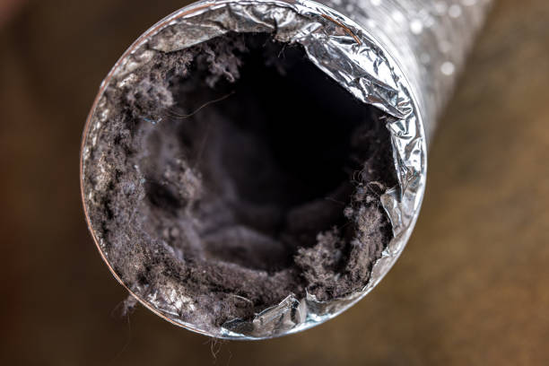 Best Residential Air Duct Cleaning  in Ridgecrest, FL